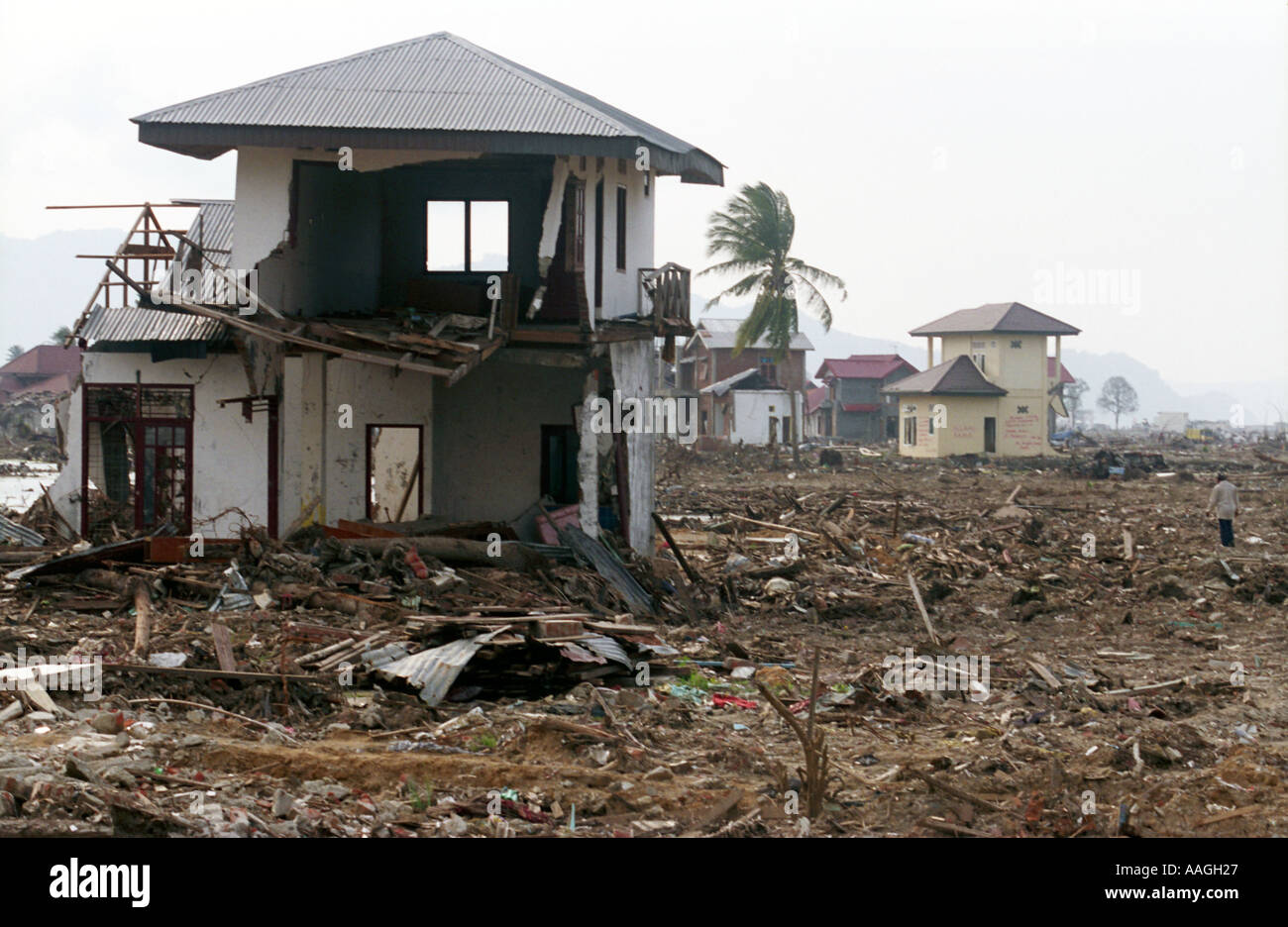 Tsunami banda aceh