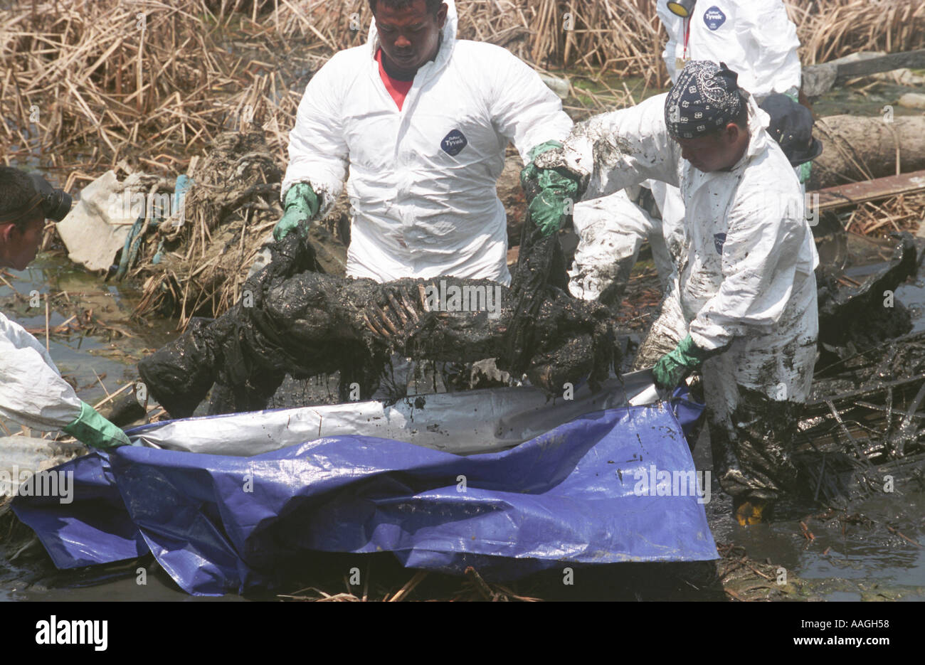 Aftermath of the boxing day tsunami, Banda Aceh, Sumatra, Indonesia. Stock Photo