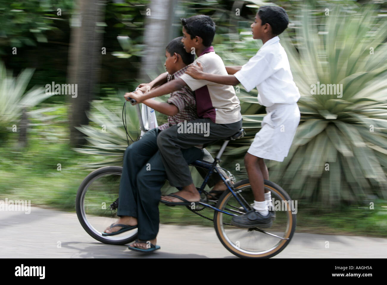 Schools Out Students Go Home After End Of Lessons In Sri Lanka Stock schools-out-students-go-home-after-end-of-lessons-in-sri-lanka-stock