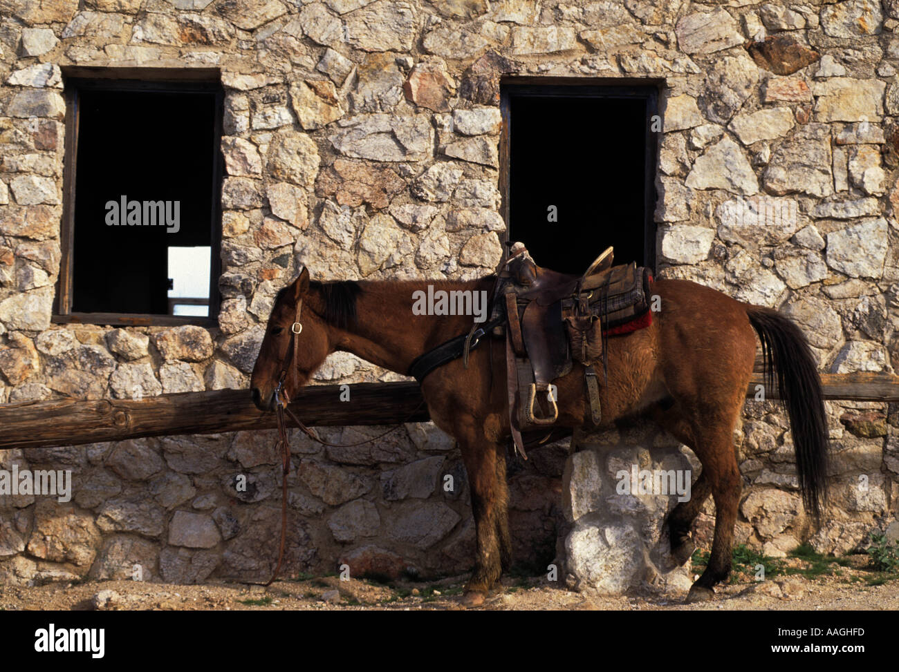 Tanque Verde Guest Ranch horse back riding in the desert Stock Photo