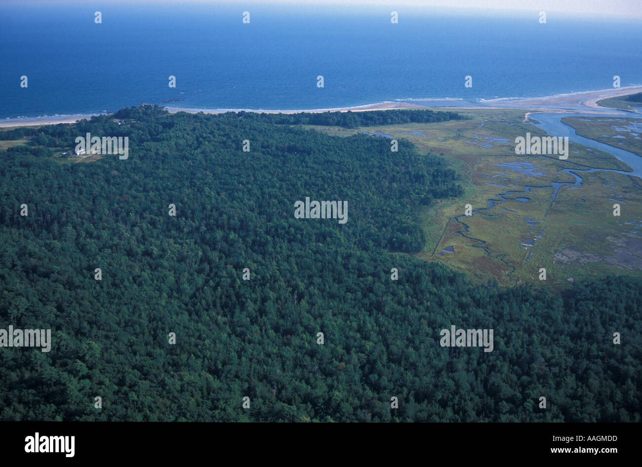 Kennebunk ME Undeveloped forest near Rachel Carson N W R Harts Woods Parcel Crescent Surf Beach and Parson s Beach in back Stock Photo