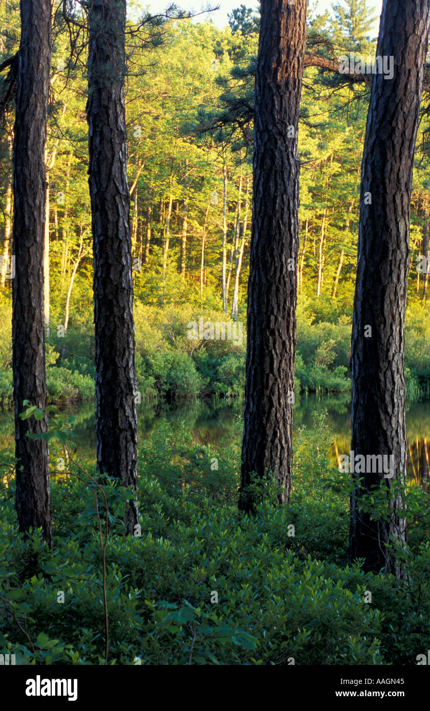 Conway granite hires stock photography and images Alamy
