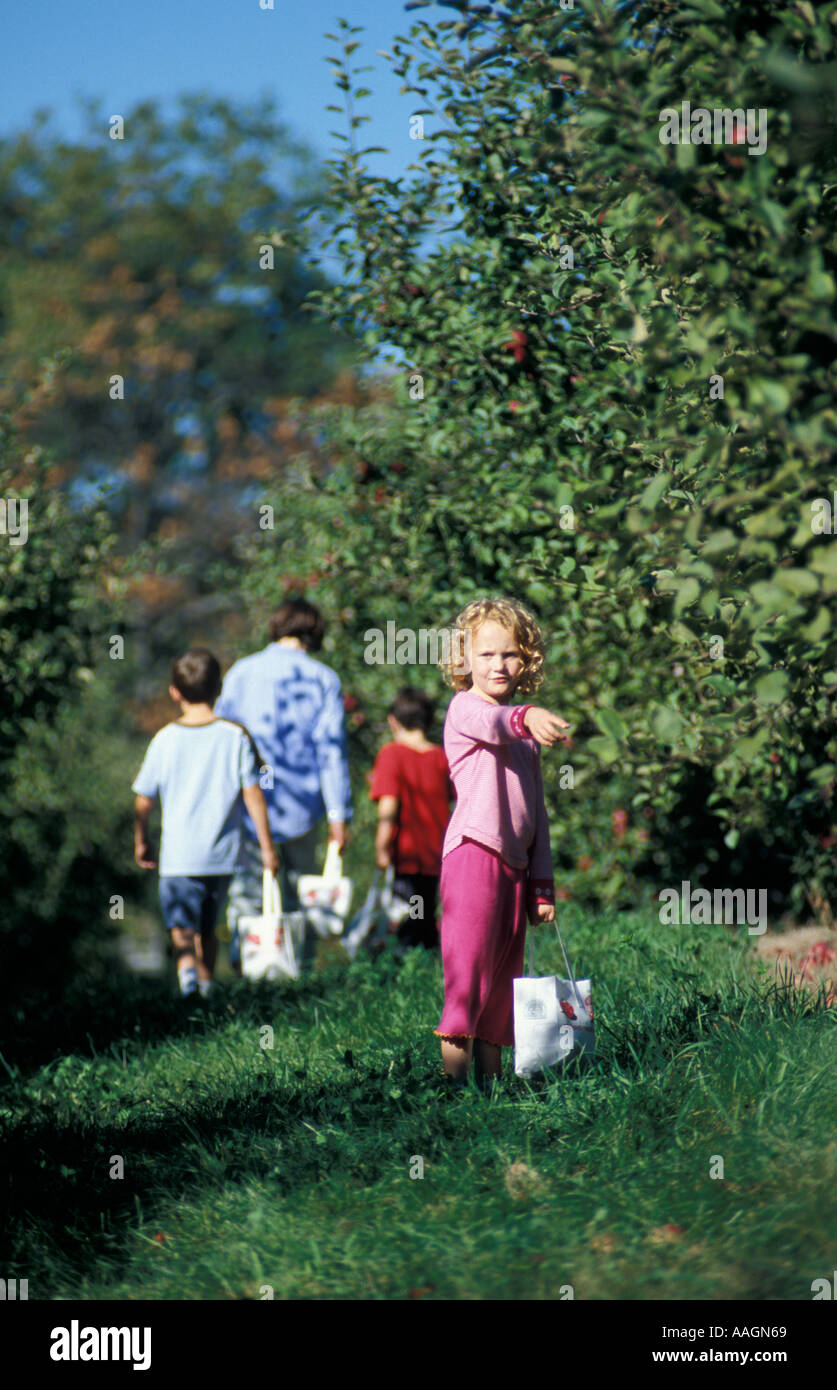 Bolton MA USA Picking apples at the Nicewicz Farm in Massachusetts