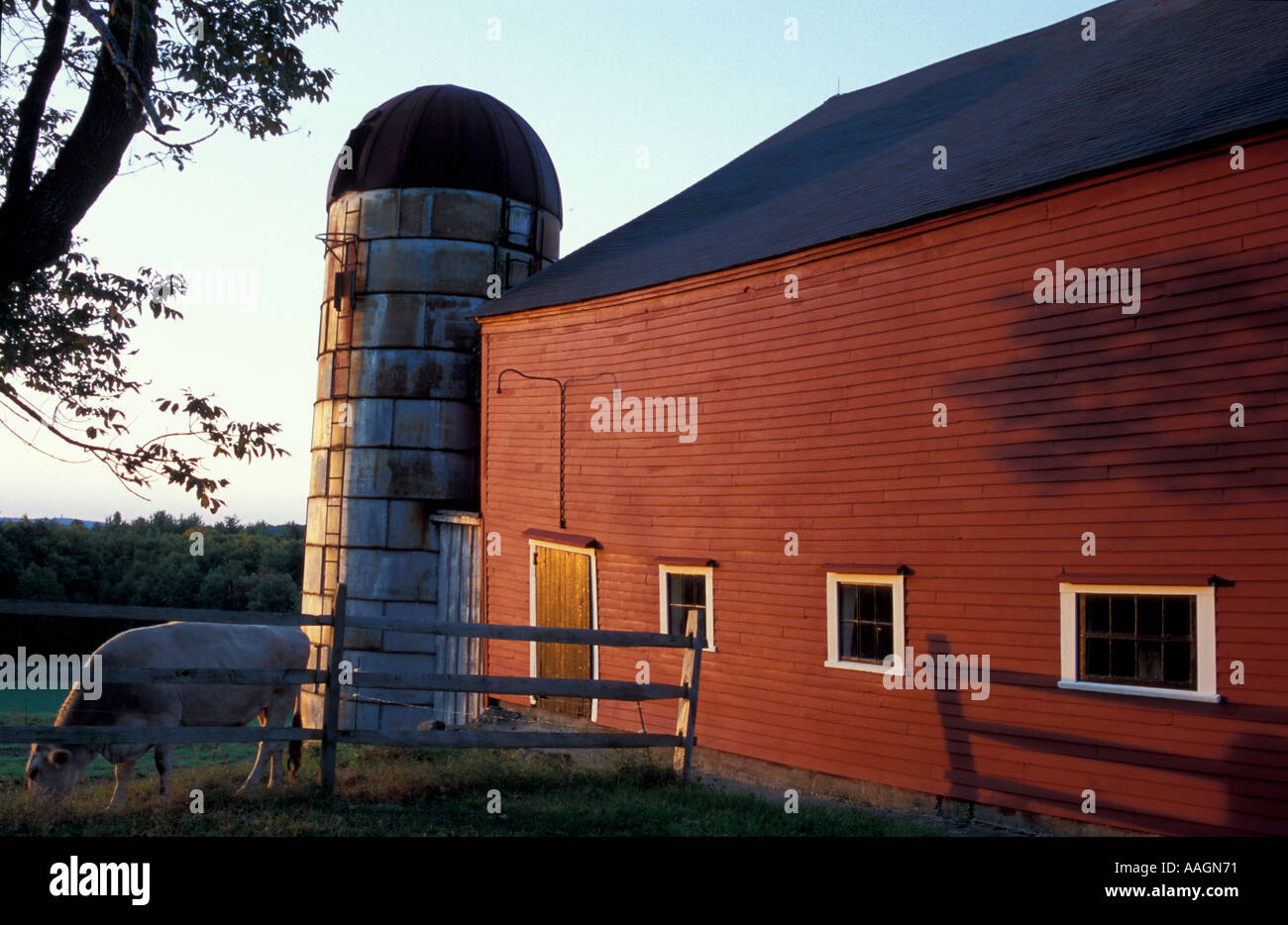 Bolton Ma Usa A Red Barn On The Schartner Farm In Massachusetts