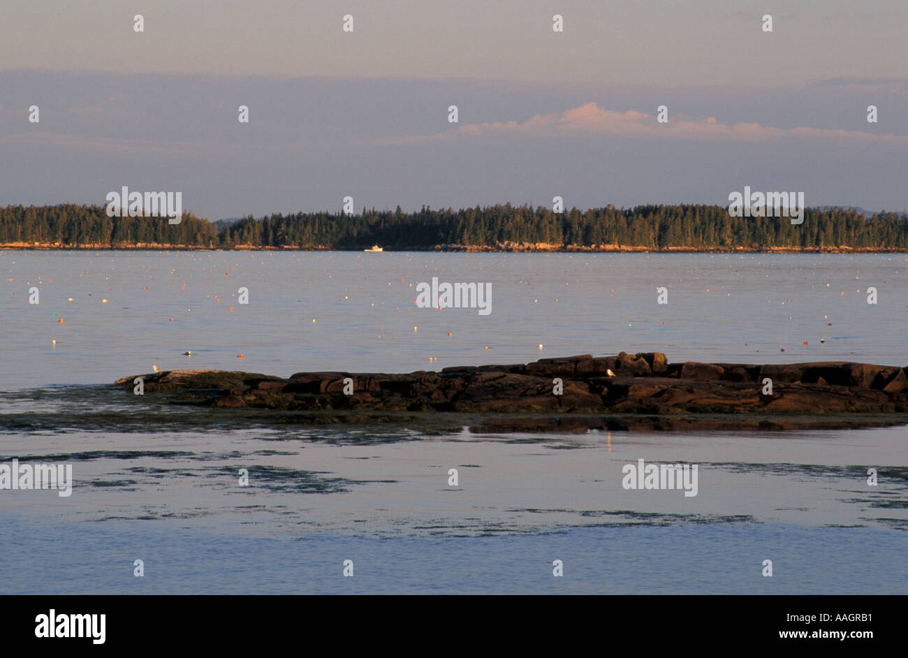 Great wass island hires stock photography and images Alamy
