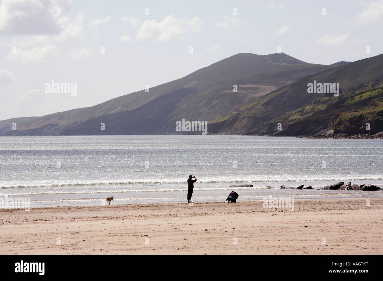 Ireland County Kerry Dingle Inch Beach people exercising dog Stock