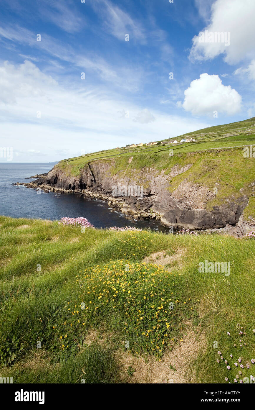 Ireland County Kerry Dingle Peninsula Slea Head coastal landscape and