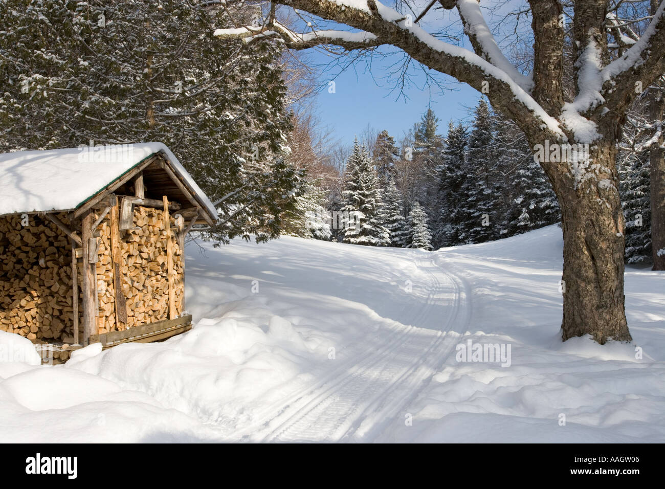 Lyford Stock Photos Lyford Stock Images Page 3 Alamy