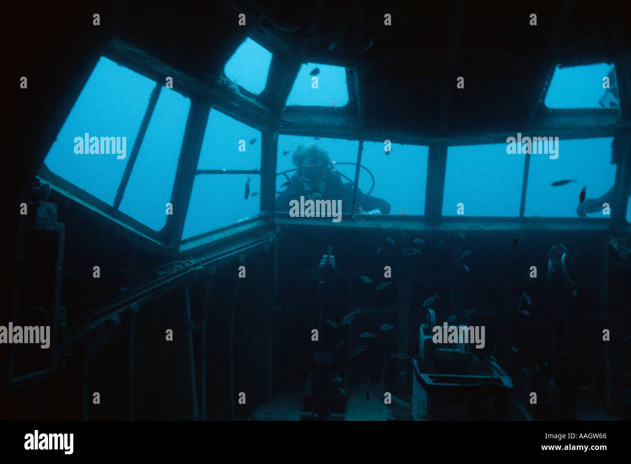 Diver explores cockpit of airplane wreck off Miami Beach Florida USA Stock Photo