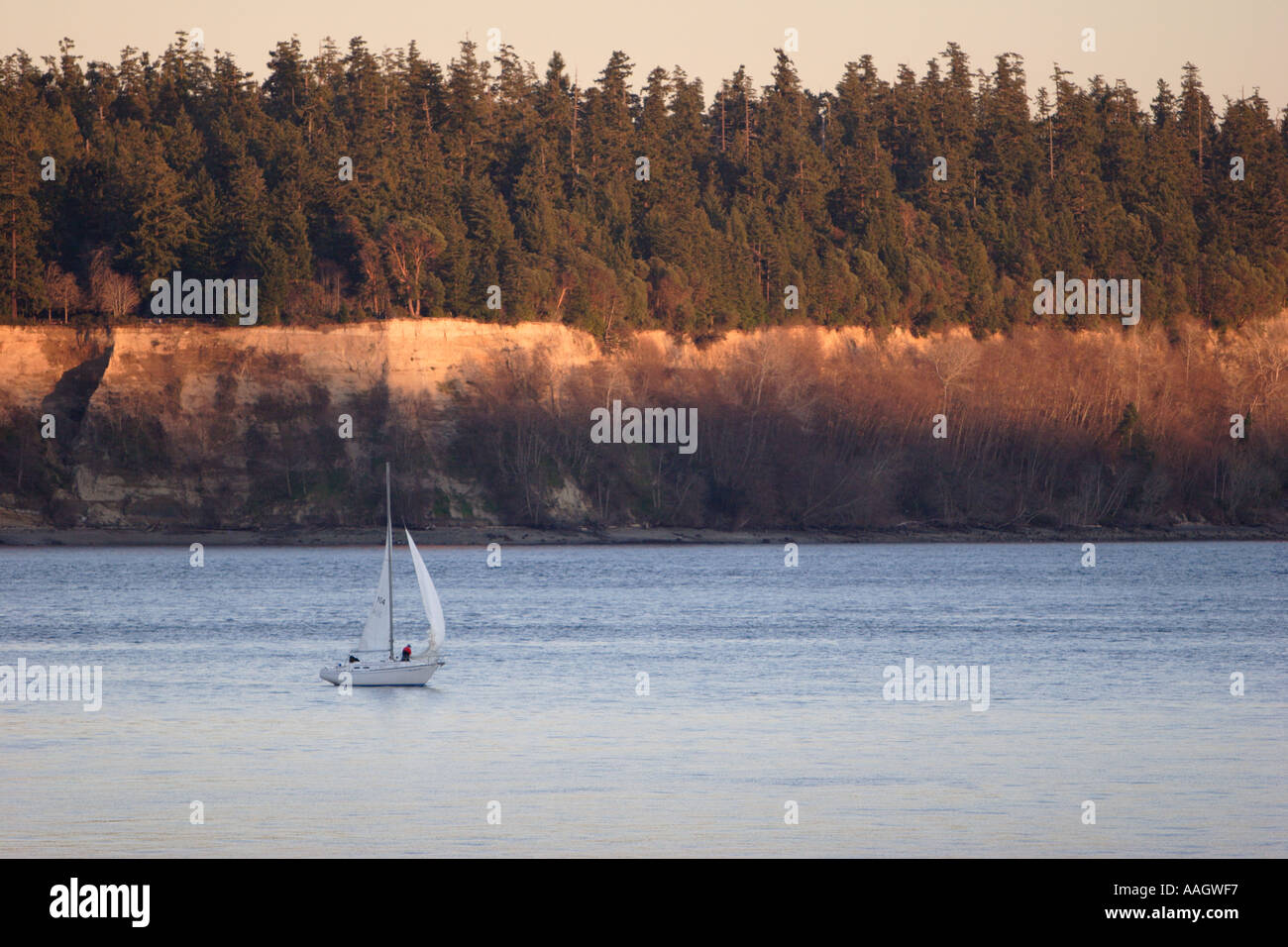 Sailing on Puget Sound Stock Photo Alamy