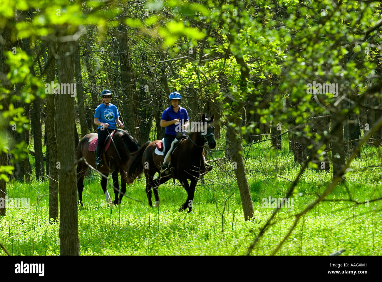 Dual riders hi-res stock photography and images - Alamy