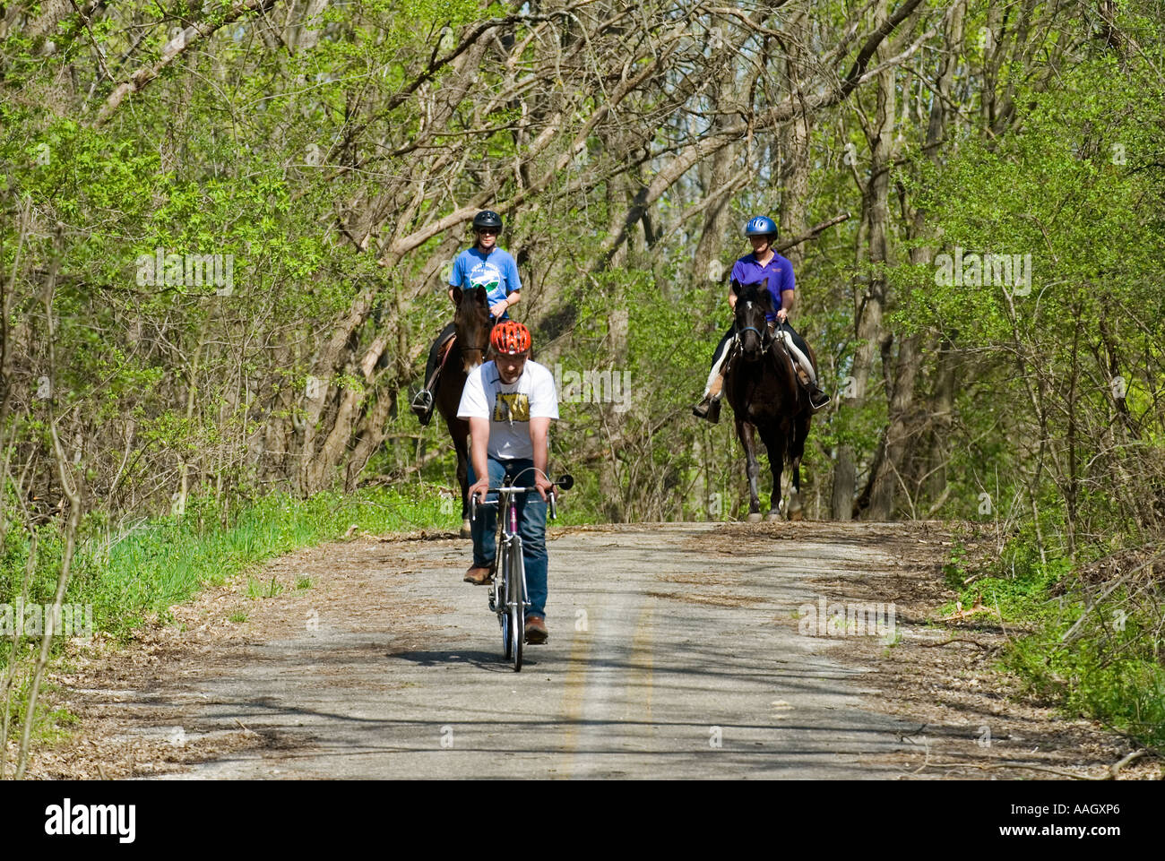 Spring Riders 3 Stock Photo