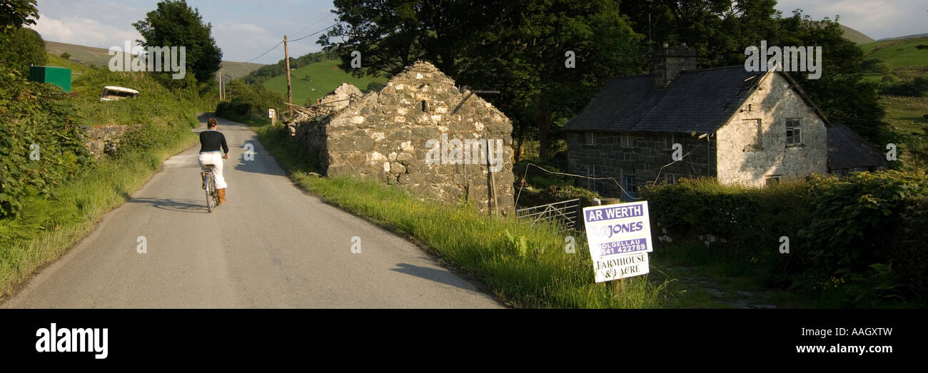 Farm for sale Cwm Cynllwyd valley near Llanuwchllyn Gwynedd snowdonia