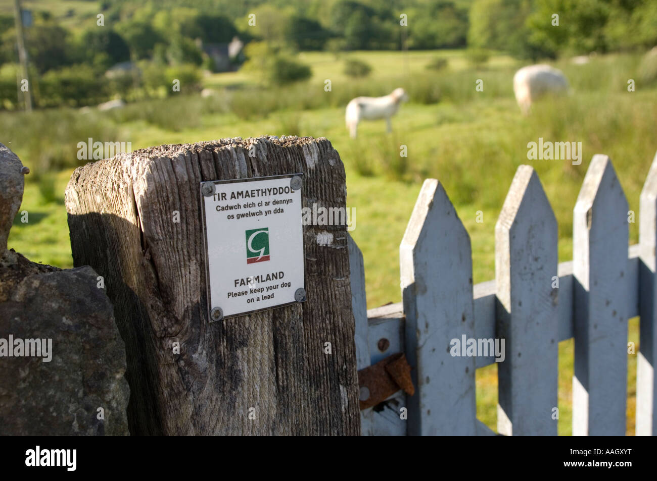 Gwynedd county council Farmland notice on fence post asking people to