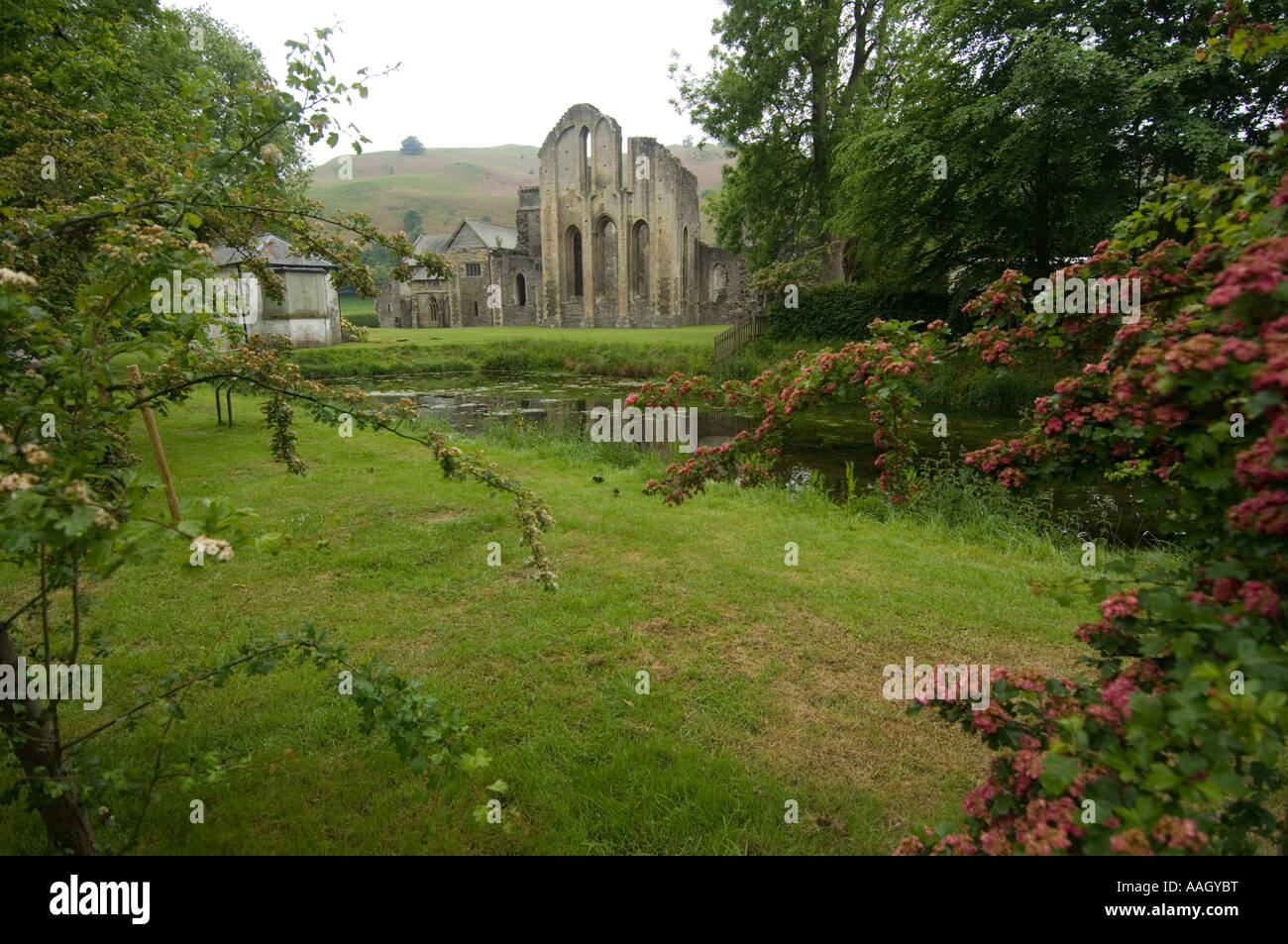 Valle Crucis Abbey ancient monument near Llangollen North wales UK Stock Photo