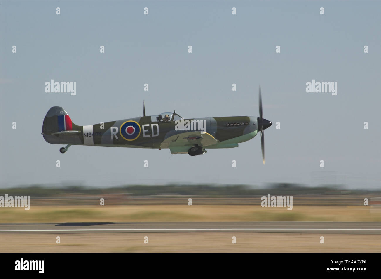 A British Spitfire flying close to the ground as landing gear goes up. Stock Photo