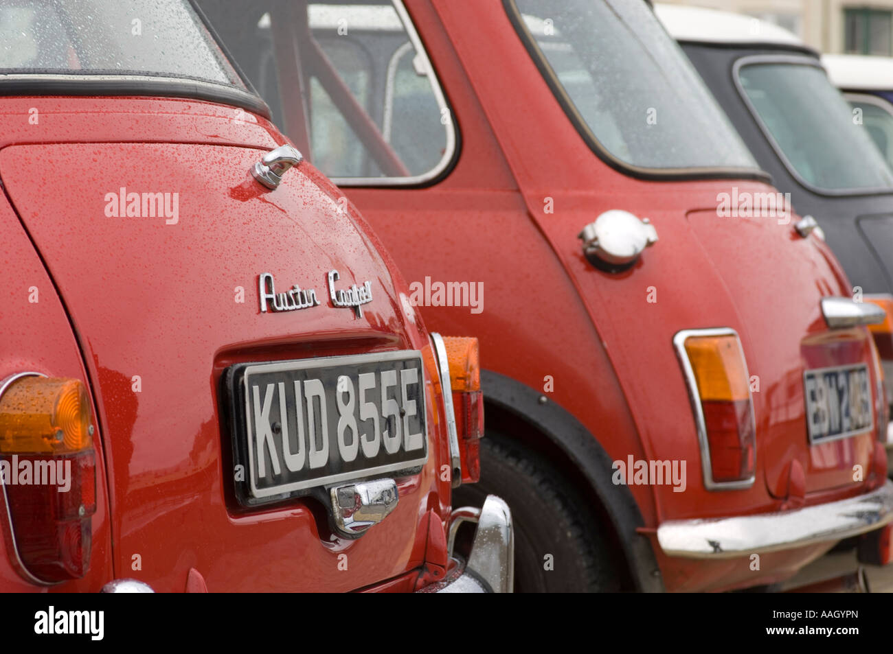 Row of red painted classic iconic english Austin Cooper cars Stock Photo