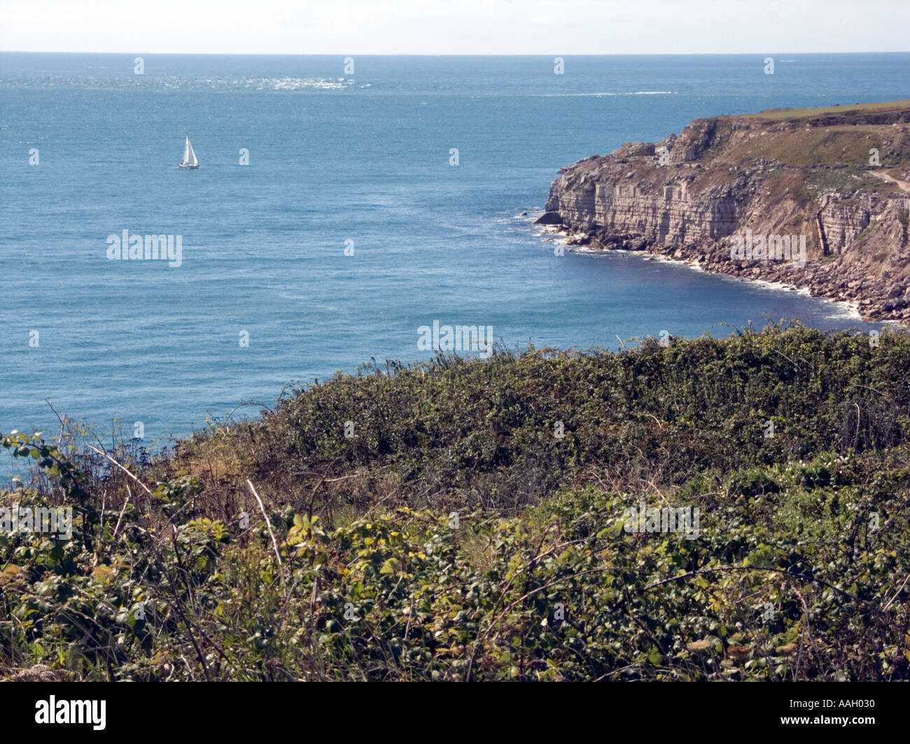 View point at Cheyne Weare Dorset Stock Photo - Alamy