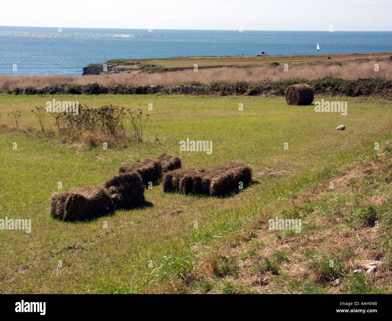Straw Bales on Farmland at Portland Bill, Dorset, England, UK Stock