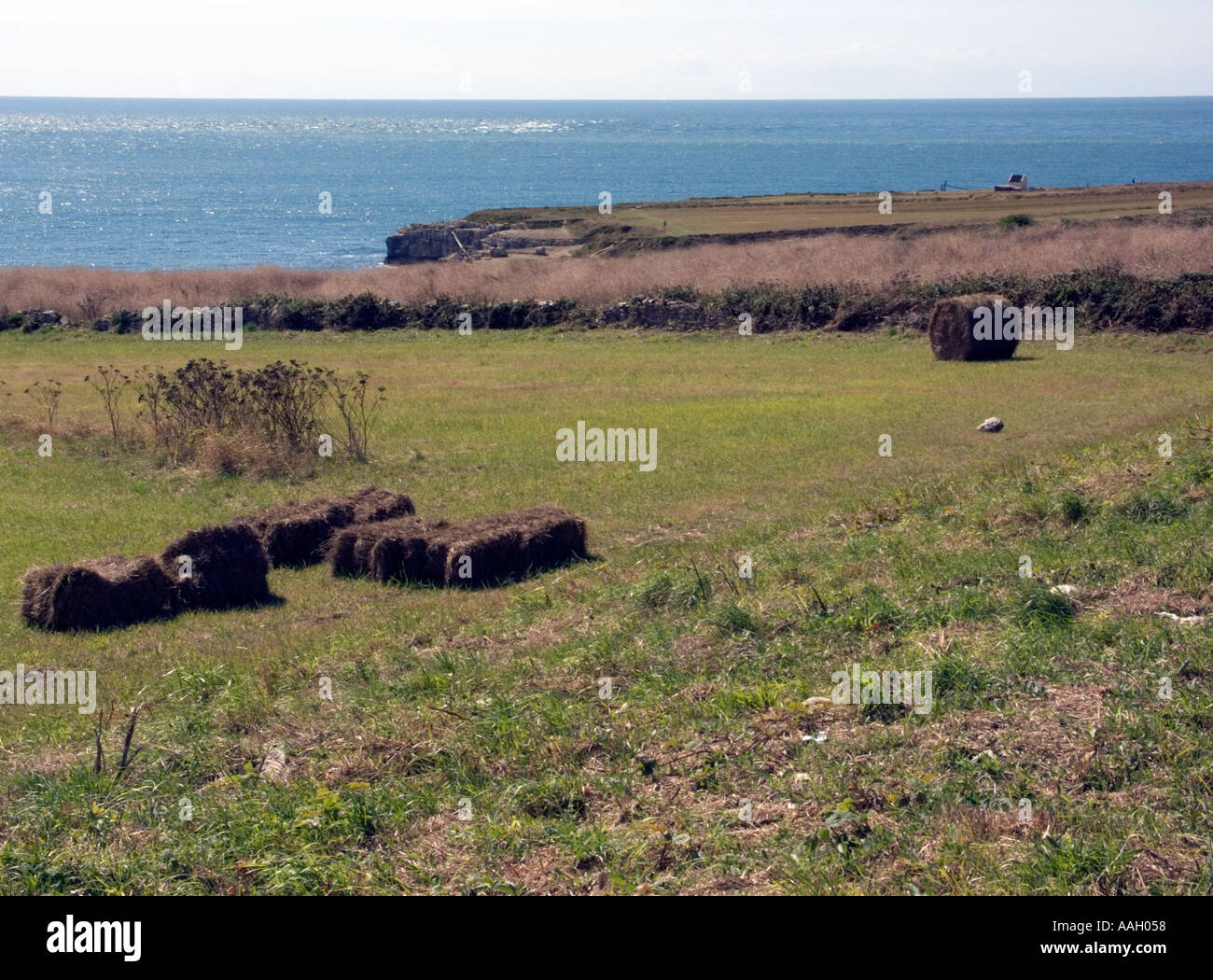 Straw Bales on Farmland at Portland Bill, Dorset, England, UK Stock