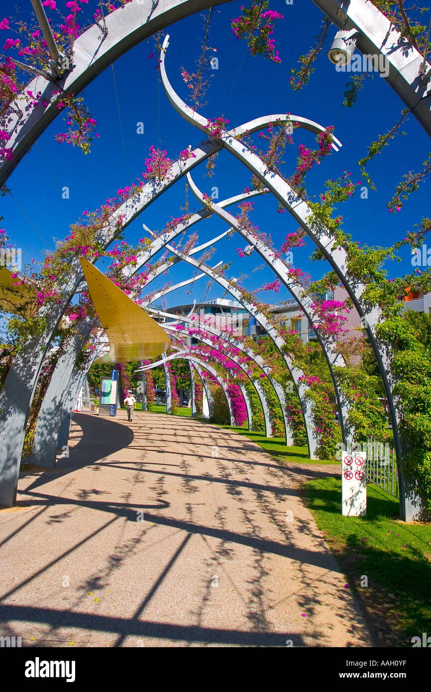 A passageway through flowers in South Bank Gardens Brisbane Queensland Australia Stock Photo