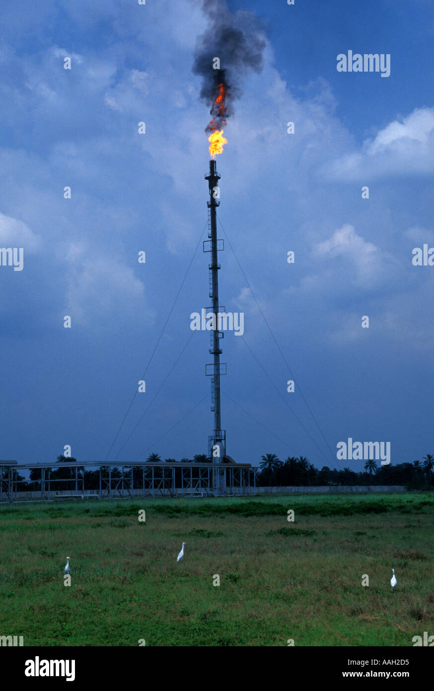 Nigerian Oil Refinery, Port Harcourt, Nigeria Stock Photo - Alamy