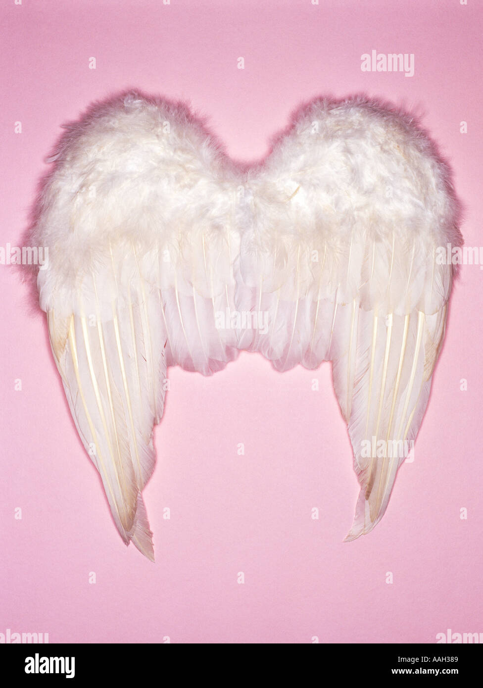 Angel wings feathers hires stock photography and images Alamy