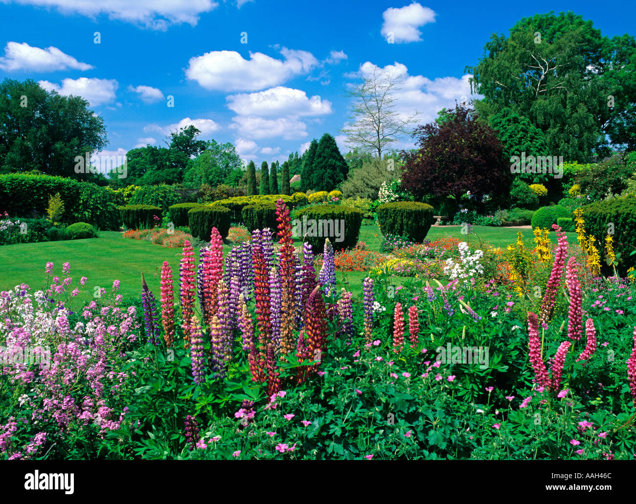 Barnsley House Gardens Gloucestershire Summer Stock Photo Alamy