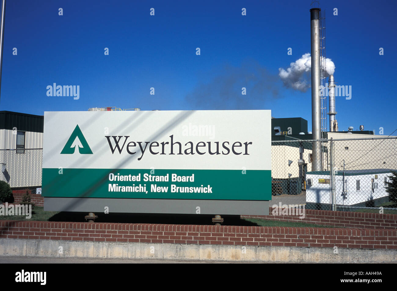 weyerhaeuser pulp and paper mill miramichi new brunswick canada Stock