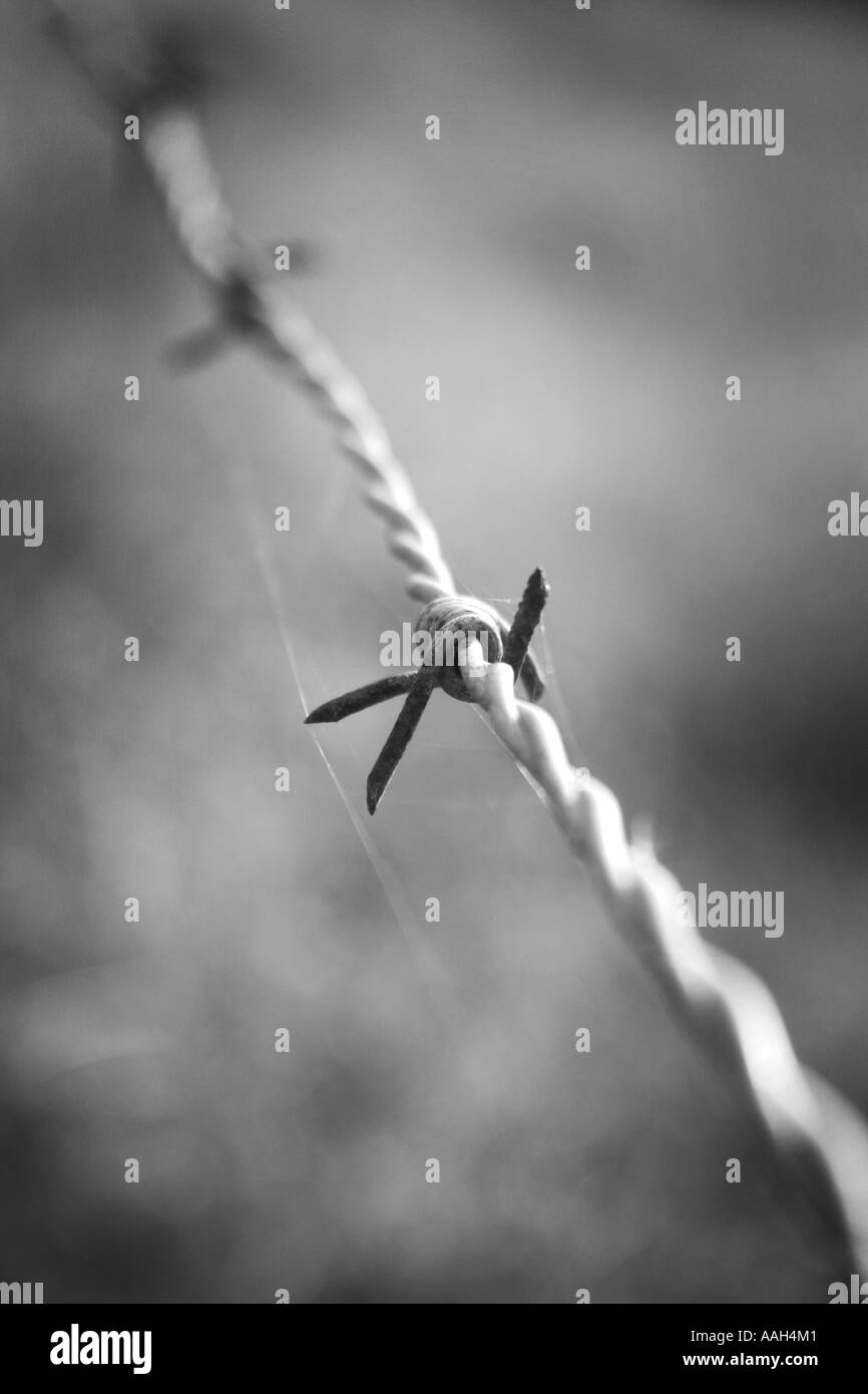 Wire farm fencing Black and White Stock Photos & Images - Alamy