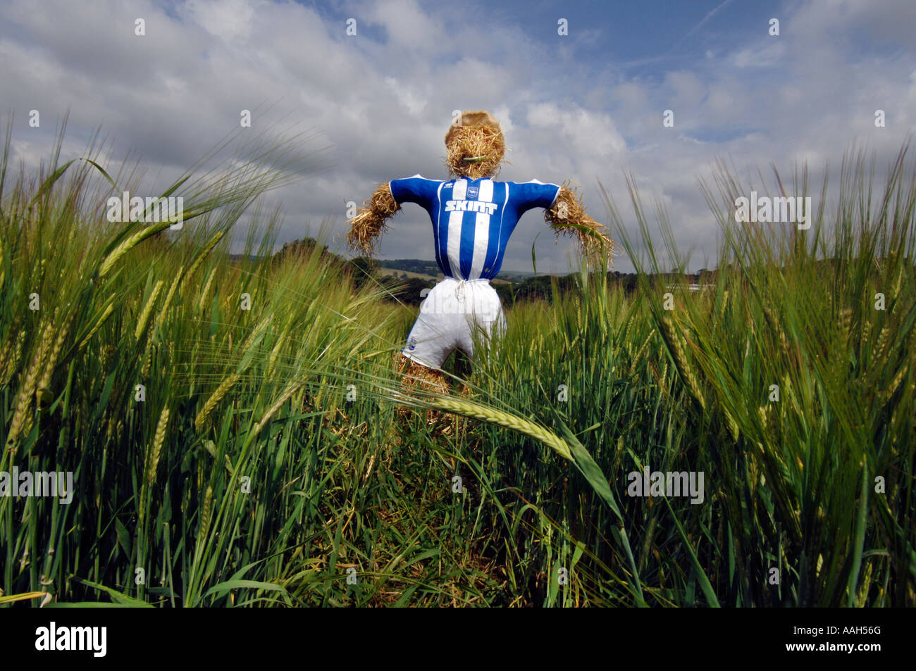 A scarecrow dressed in Brighton and Hove Albion Football Club strip on site of new stadium in  Falmer Stock Photo