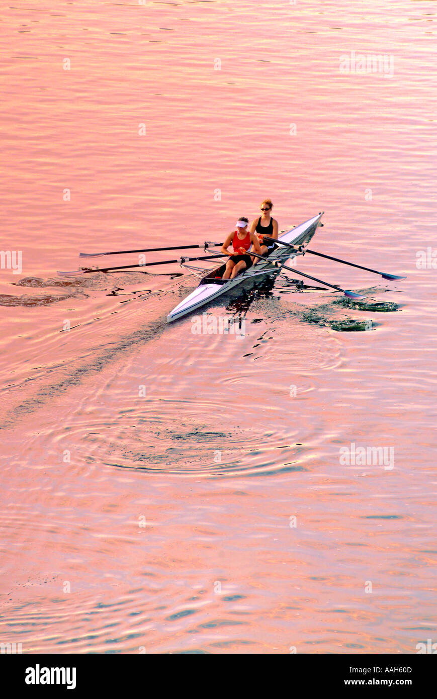 Rowing team in boat Stock Photo Alamy