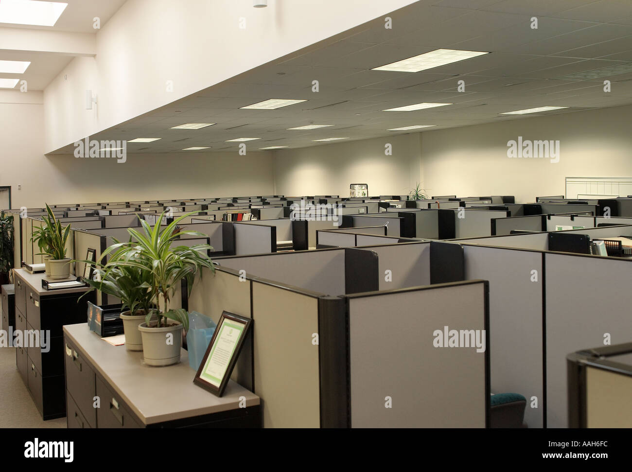 Office Cubicles Stock Photo Alamy