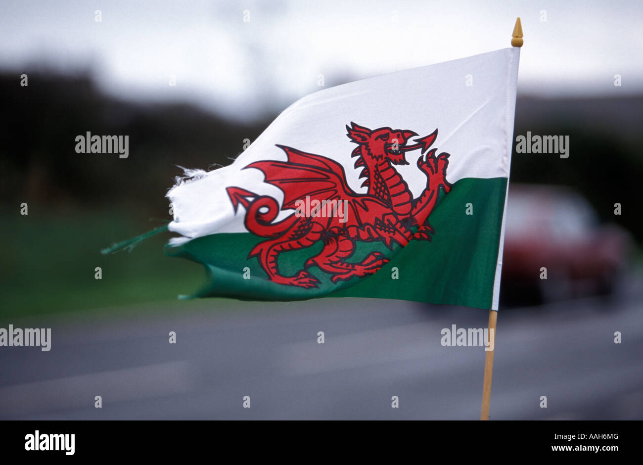 The Red Dragon Welsh flag Dyfed Wales United Kingdom Stock Photo
