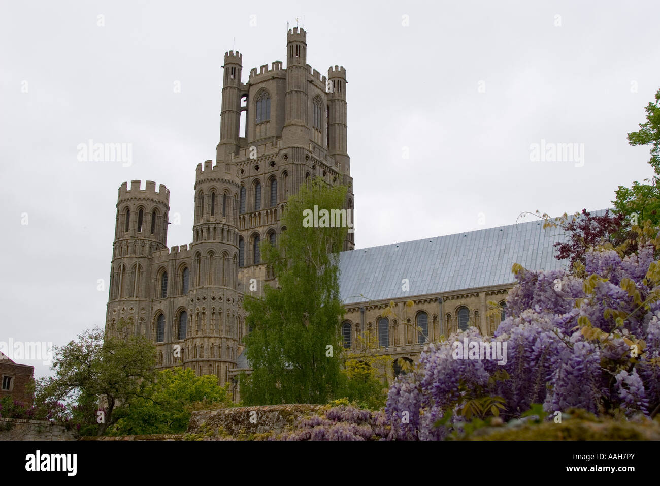 Ely cathedral Ely England Stock Photo