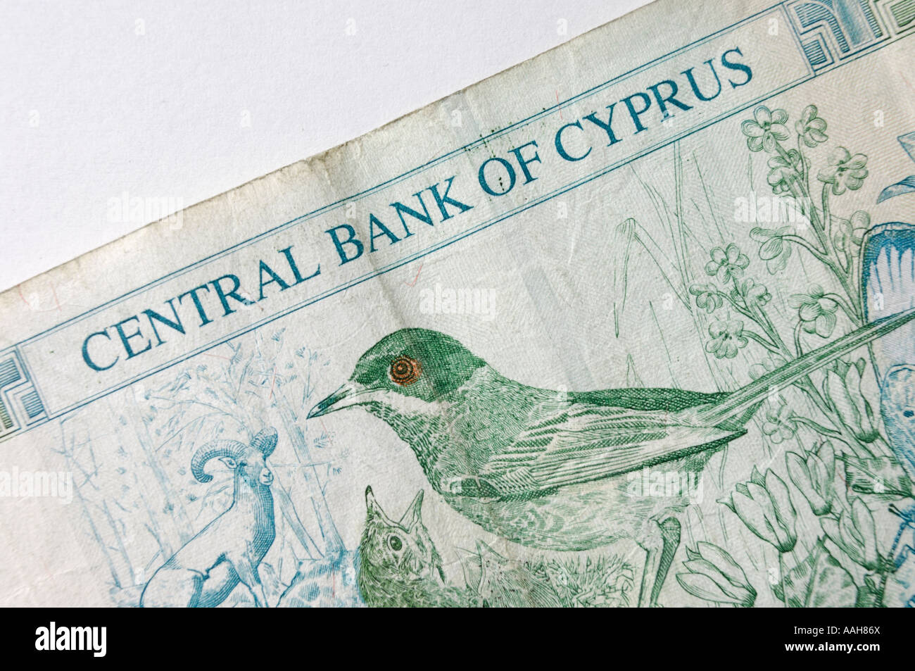 Cyprus Warbler Sylvia melanotharax bird pattern on Cyprus ten pounds bill Stock Photo