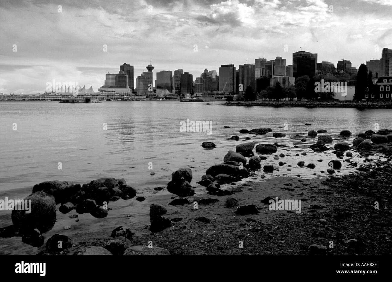 The skyline of Vancouver viewed from Stanley Park Vancouver British Columbia Canada Stock Photo