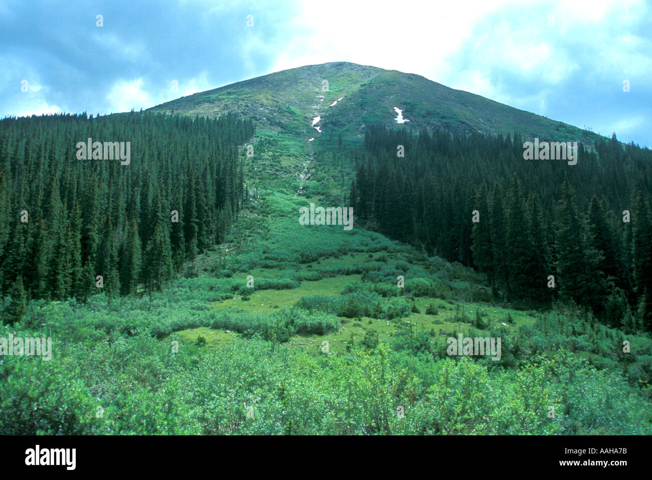 Avalanche chute damage in Colorado Rocky Mountains Stock Photo Alamy