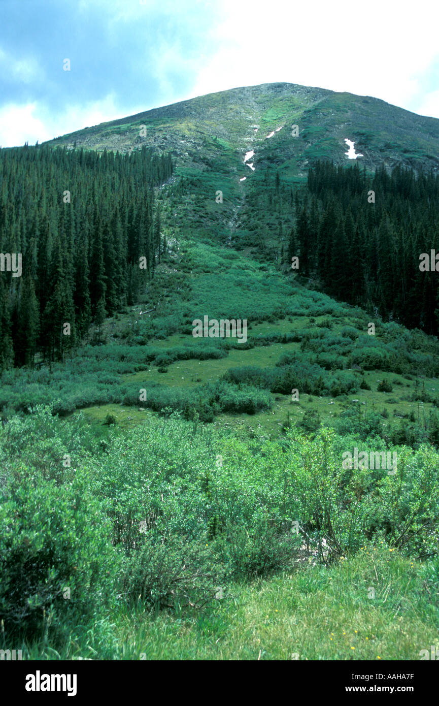 Avalanche chute damage in Colorado Rocky Mountains Stock Photo Alamy