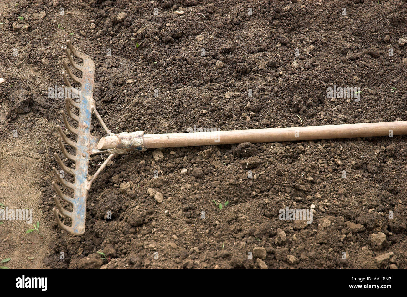Rake for gardening hi-res stock photography and images - Alamy