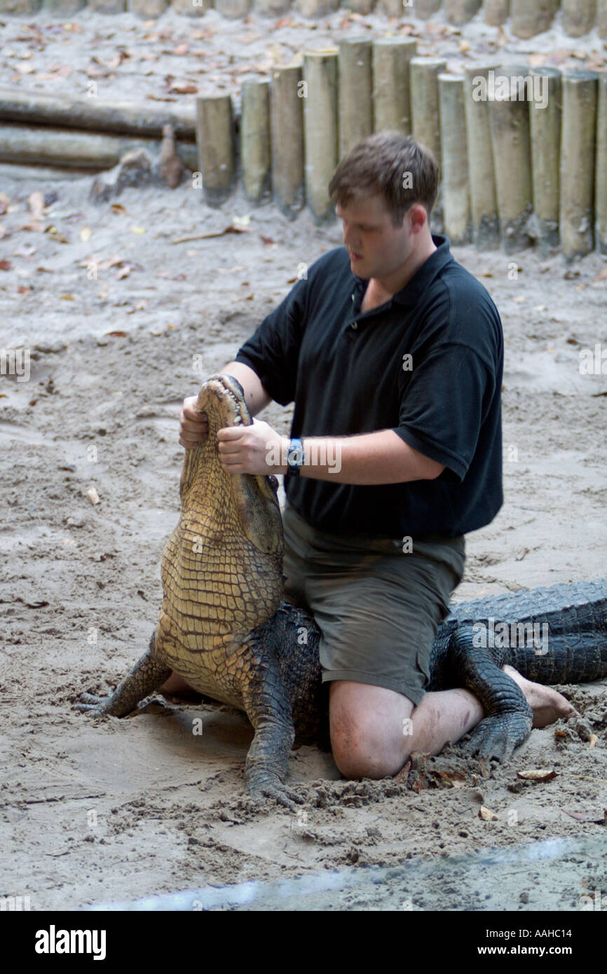 Man wrestling alligator and holding mouth shut during a performance at Silver Springs park in