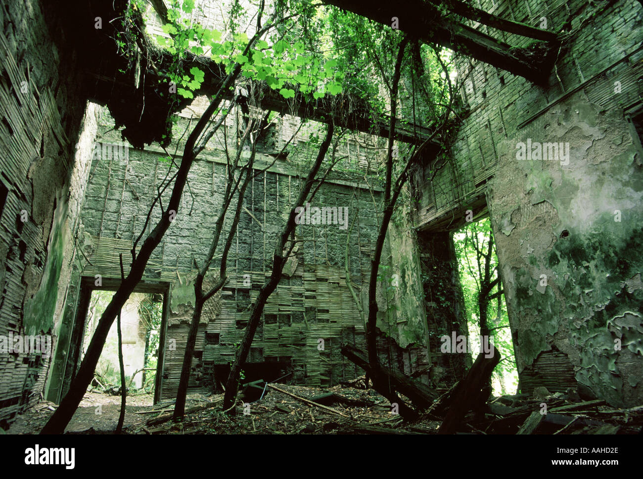 Buchanan castle hires stock photography and images Alamy