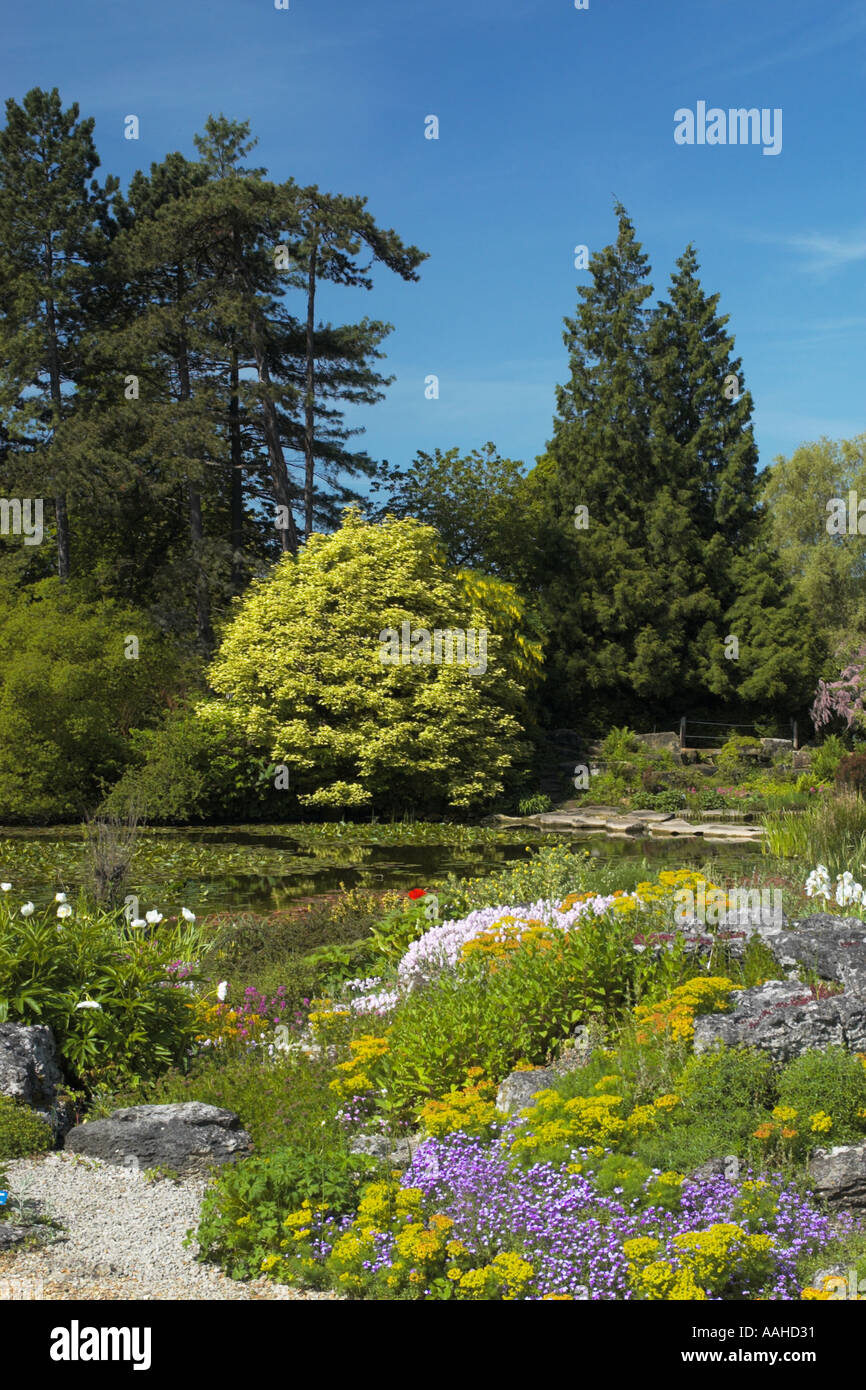 Lake at Cambridge University Botanic garden surrounded by spring colour Stock Photo