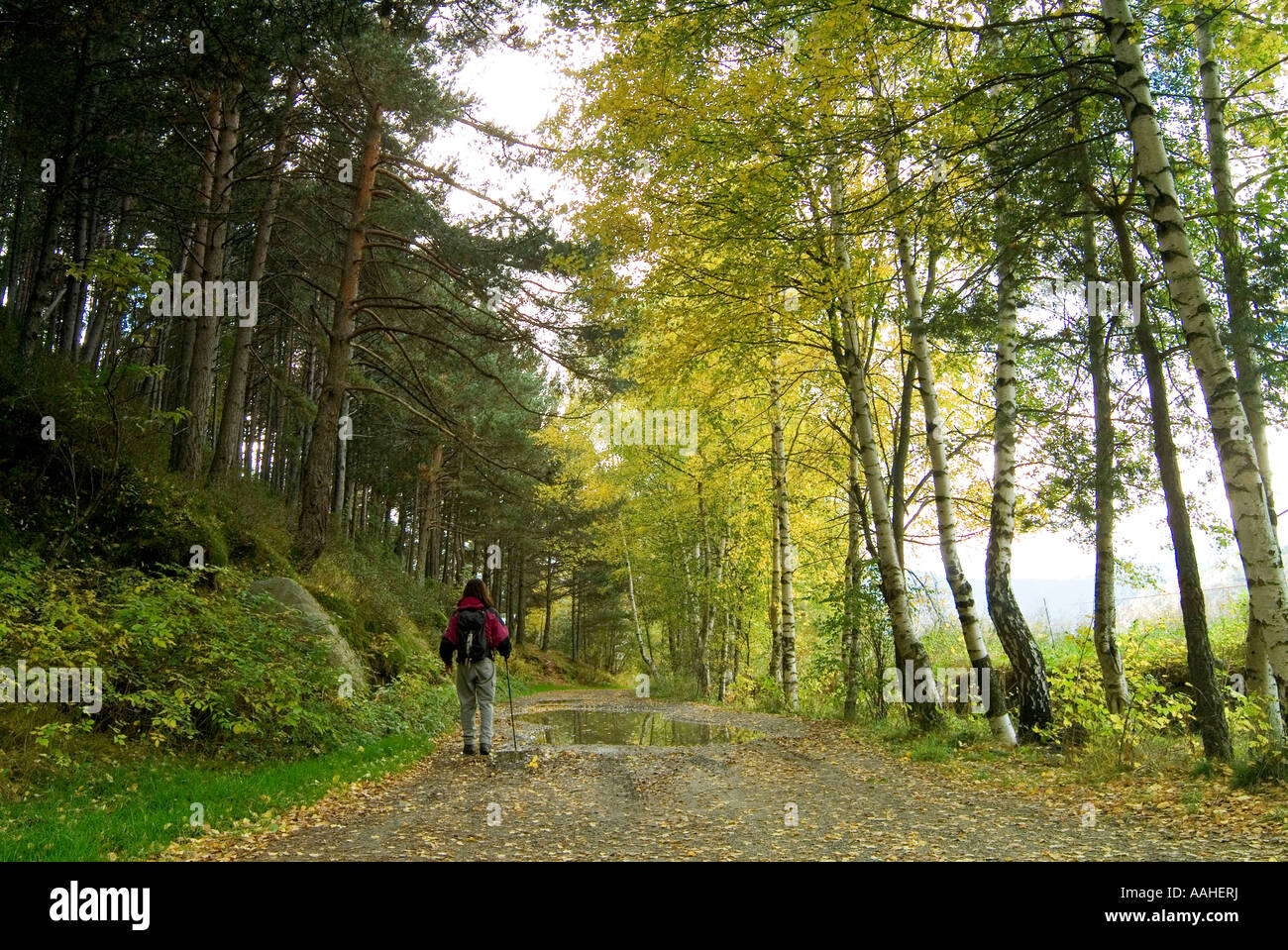 Trekking in the Pyrenees mountains. Andorra.Europe Stock Photo