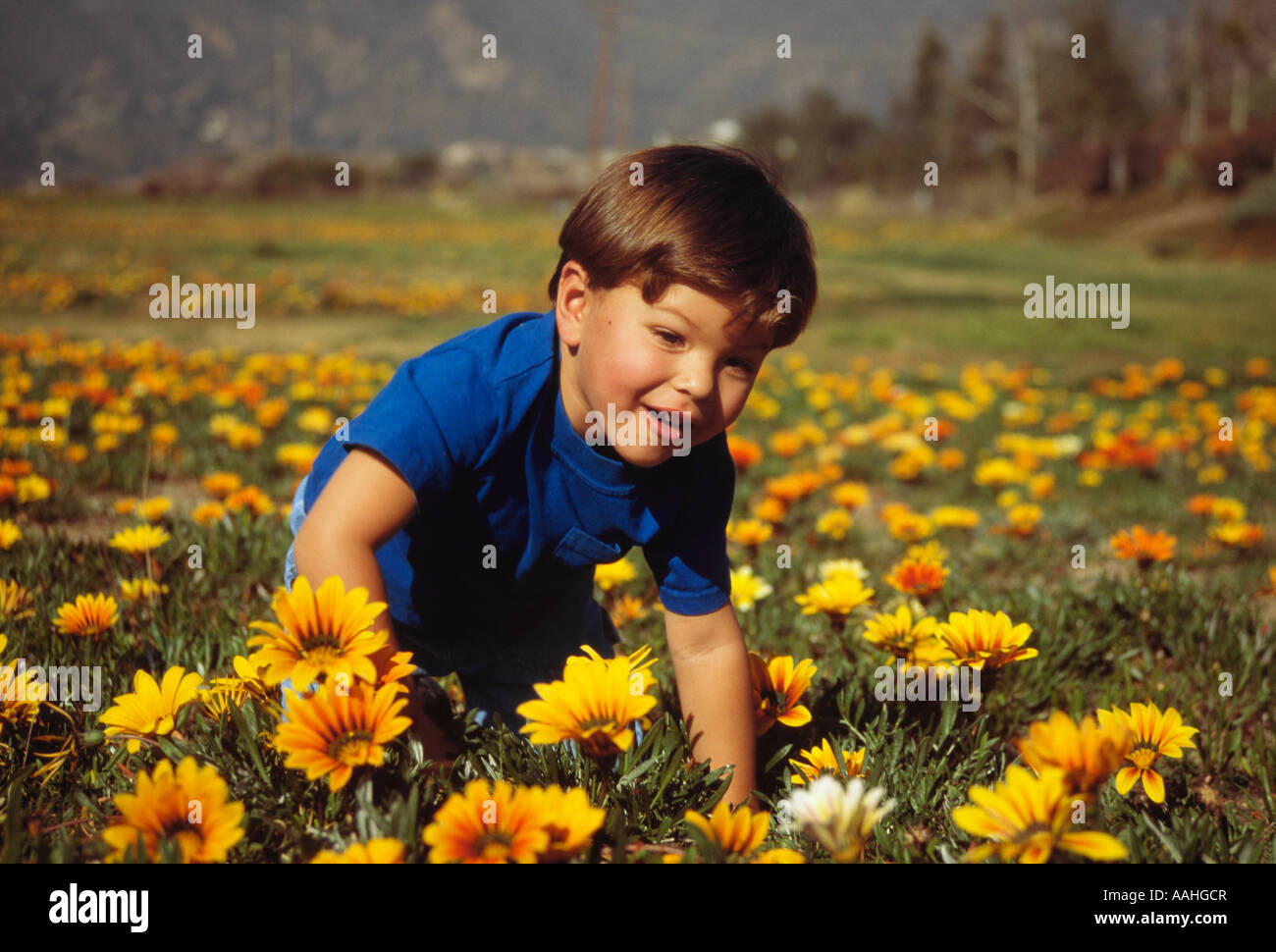 Happy Pre-k Boy 2 3 year child old playing in field of wildflowers flower nature natural setting smiling ethnic diversity racially diverse biracial bi Stock Photo