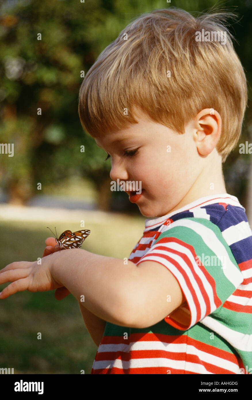 Pre-k Boy 2 3 year old playing play with butterfly on arm looking with awe and wonderment nature natures beauty beautiful copy space  closeup POV Stock Photo