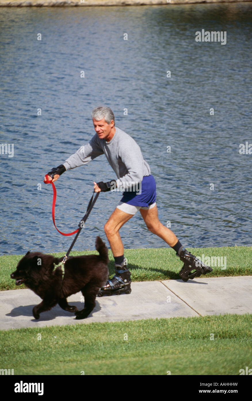 Mature man retired retirement gray grey white hair rollerblading dog blue lake water copy space  MR  © Myrleen Pearson Stock Photo