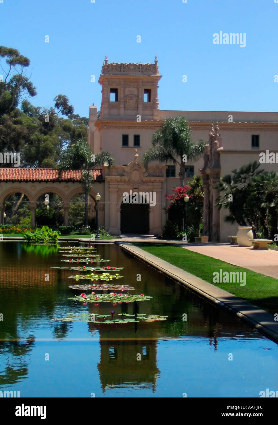 Balboa Park Lily Pond, San Diego CA Stock Photo