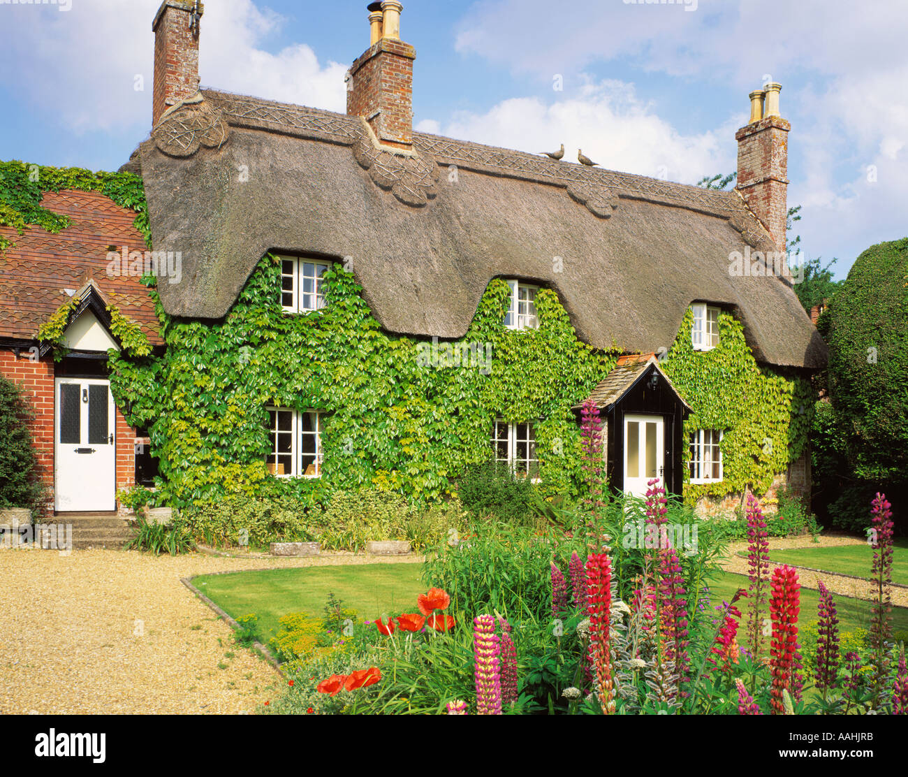 GB DORSET WIMBORNE ST GILES THATCH COTTAGE GARDEN Stock Photo Alamy