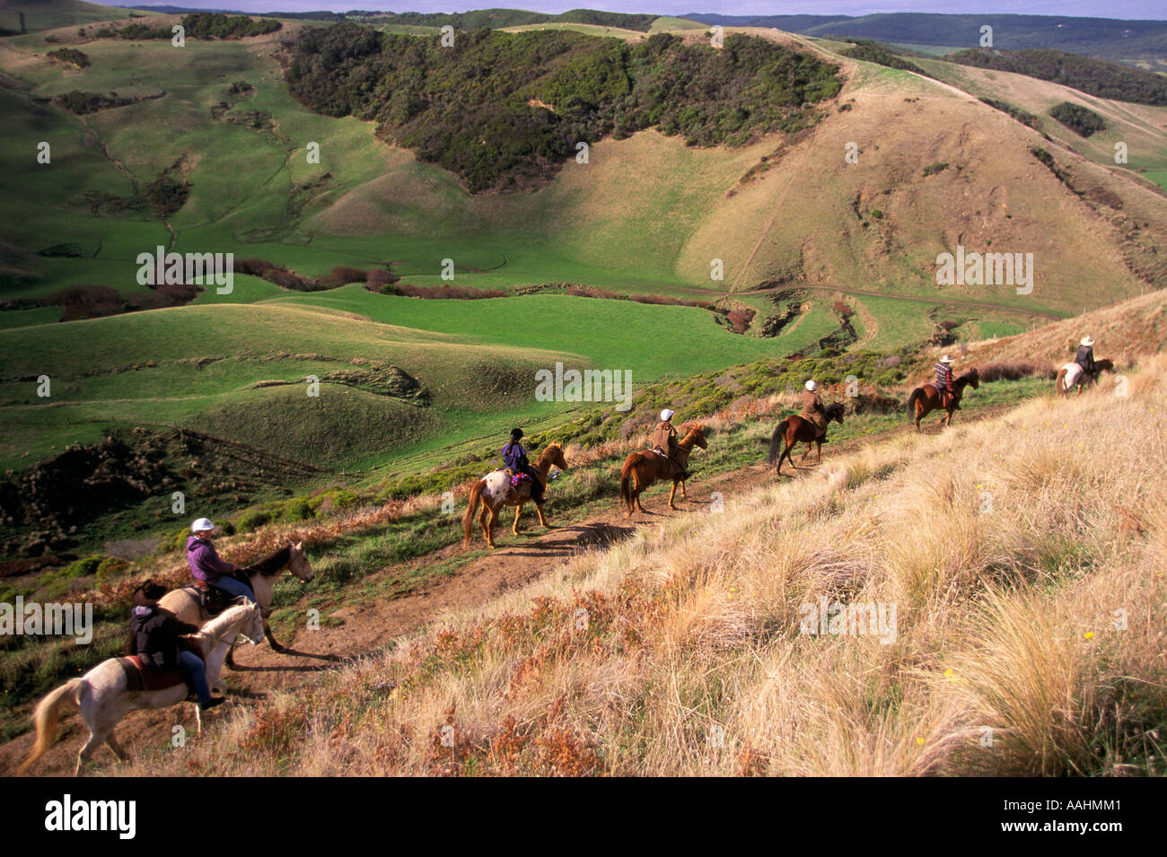 Trail Rides Riding Horseback Riders Idyllic Carefree Freedom